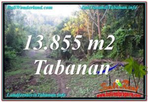 JUAL TANAH di TABANAN 13,855 m2 di Tabanan Selemadeg