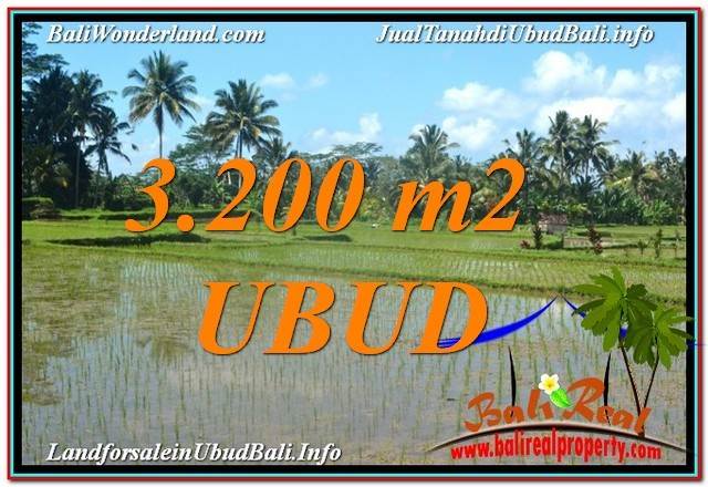 TANAH di UBUD DIJUAL 3,200 m2 di Ubud Payangan