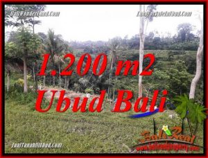 Tanah Murah di Ubud Dijual Untuk Investasi TJUB699