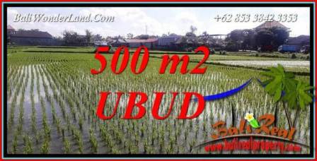 Dijual Tanah Murah di Ubud Bali 500 m2 di Sentral Ubud