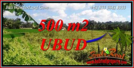 Dijual Murah Tanah di Ubud Bali TJUB724