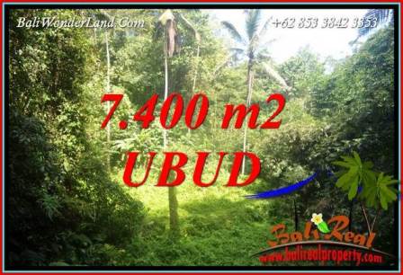 Dijual Murah Tanah di Ubud Bali Untuk Investasi TJUB734