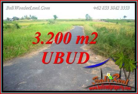 JUAL Murah Tanah di Ubud Bali 32 Are View sawah