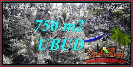 JUAL Tanah Murah di Ubud Bali 750 m2 View Tebing dan Sungai