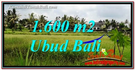 Tanah Murah di Ubud Bali TJUB756