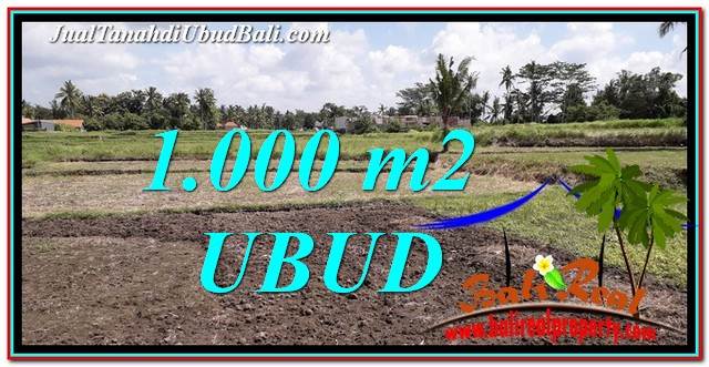 TANAH MURAH di UBUD BALI DIJUAL 1,000 m2 di Sentral Ubud