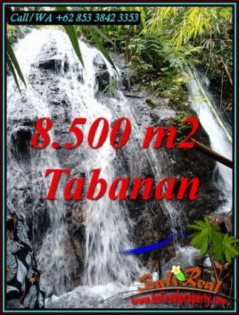 INVESTASI PROPERTY, TANAH di TABANAN BALI DIJUAL MURAH TJTB478
