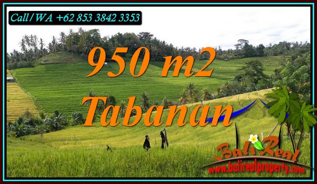 DIJUAL MURAH TANAH di TABANAN Untuk INVESTASI TJTB483