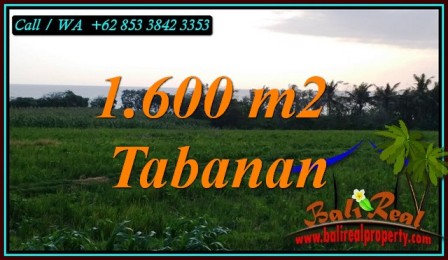 JUAL MURAH TANAH di TABANAN 1,600 m2 VIEW SAWAH DAN LAUT DEKAT PANTAI