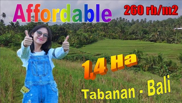 INVESTASI PROPERTY, JUAL TANAH DI TABANAN BALI TJTB621