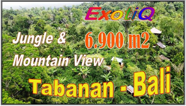 JUAL MURAH TANAH di TABANAN BALI 6,900 m2 View Hutan dan Gunung