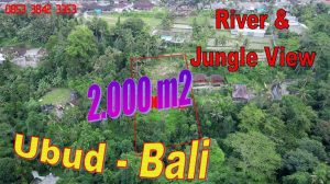 JUAL TANAH MURAH di UBUD BALI 2,000 m2 di Tegalalang Ubud