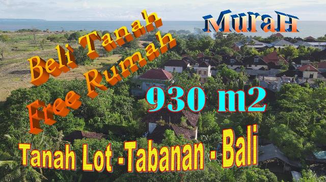 Jual Tanah Murah Bonus Rumah Besar di Kawasan Wisata Tanah Lot Tabanan Bali TJTB737