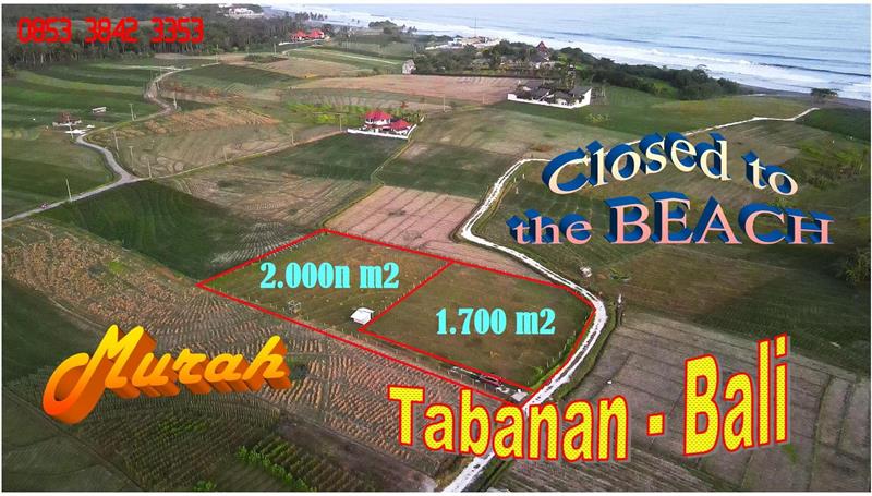 TANAH MURAH JUAL di TABANAN 3,700 m2 Dekat Pantai View Laut, Sawah dan Gunung