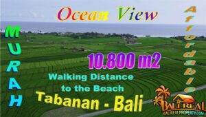 JUAL MURAH TANAH di TABANAN BALI 108 Are View sawah, Gunung dan Laut