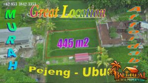 Murah Cantik Strategis, Tanah dijual di Pejeng Ubud Gianyar Bali TJUB878